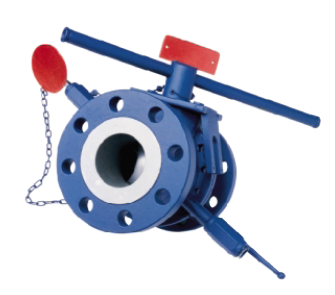 Double Block & Bleed Valve