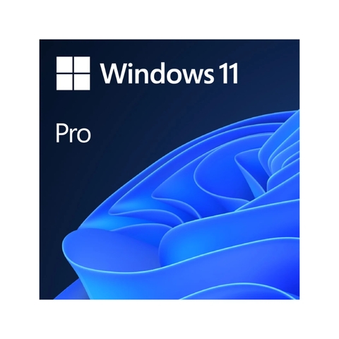 Phần mềm Microsoft Win Pro 11 64Bit Eng Intl 1pk DSP OEI DVD (FQC-10528)
