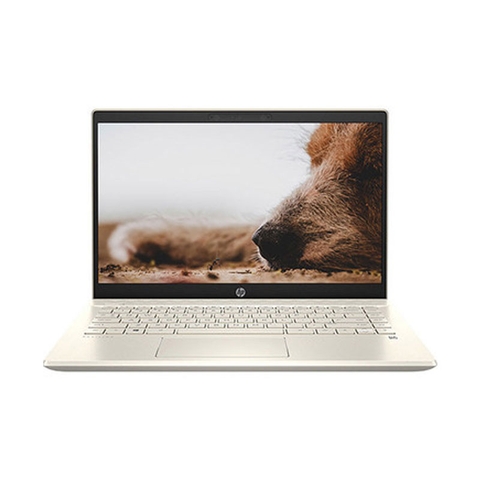 HP PAVILION 14 DV0534TU 4P5G3PA Vỏ hợp kim cao cấp, i7 1165G7, 8GB, SSD 512GB, 15.6