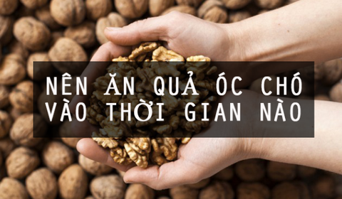 [Giải đáp] Nên ăn óc chó vào thời điểm nào trong ngày là hợp lý nhất