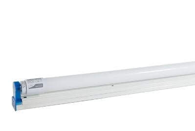 Rạng Đông BD T8L TT01 M21.1 / x1 Bộ đèn lắp bóng thủy tinh