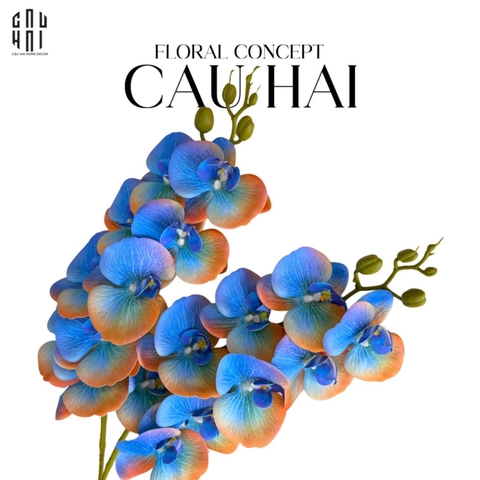 SET 2 CÀNH LAN HỒ ĐIỆP - BLUE FIRE