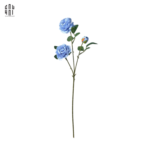 SET HOA BLUE ROSA (5 CÀNH)