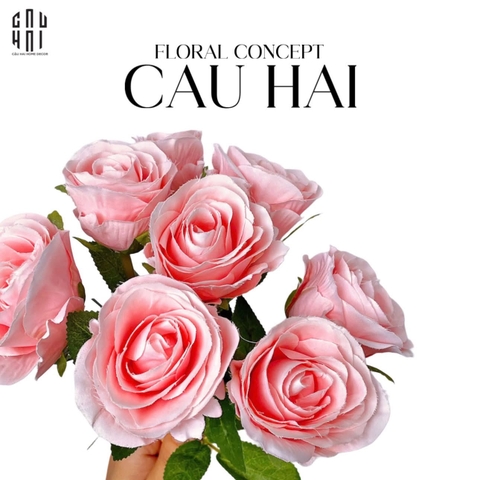 BÓ 8 HOA HỒNG CAM BABE