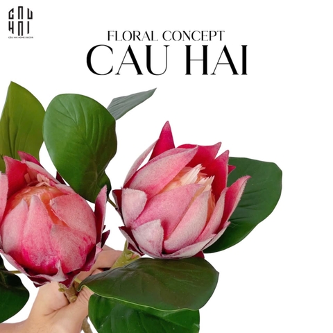 SET 2 CÀNH HOA PROTEA