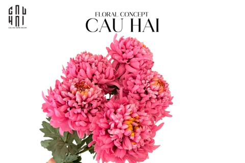 CÀNH CÚC THIÊN HƯƠNG MẪU ĐƠN - SPECIAL VERSION