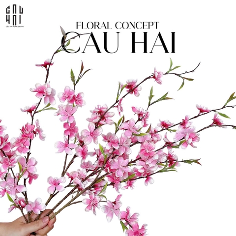 SET 2 CÀNH HOA ĐÀO - HỒNG