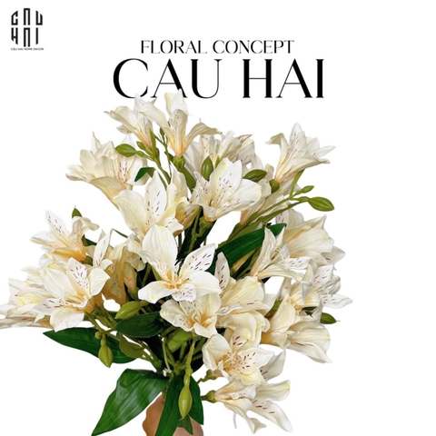 SET 2 CÀNH HOA THUỶ TIÊN