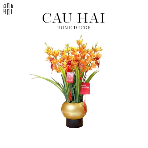 SET BÌNH HOA ĐỊA LAN - CAM