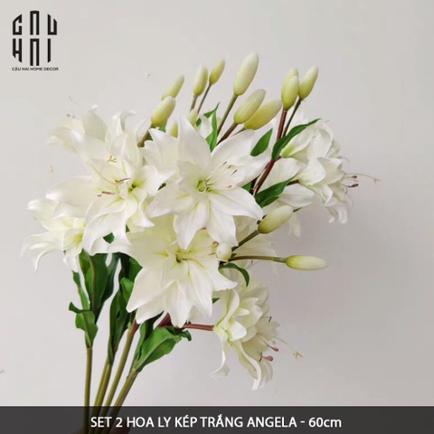 SET 2 HOA LY KÉP TRẮNG ANGELA