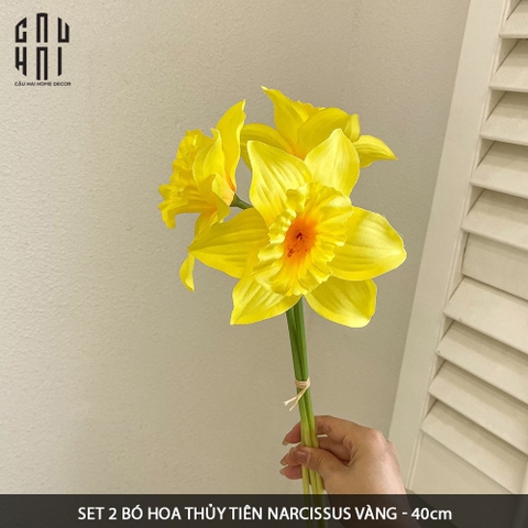 SET 2 BÓ HOA THỦY TIÊN NARCISSUS - VÀNG