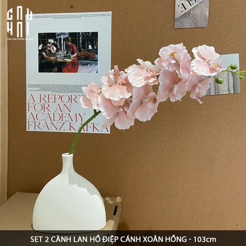 SET 2 CÀNH LAN HỒ ĐIỆP CÁNH XOĂN - HỒNG