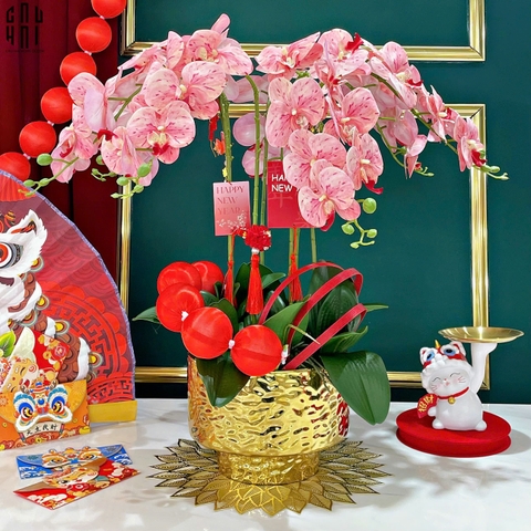 CHẬU HOA LAN HỒ ĐIỆP - HỒNG PHẤN