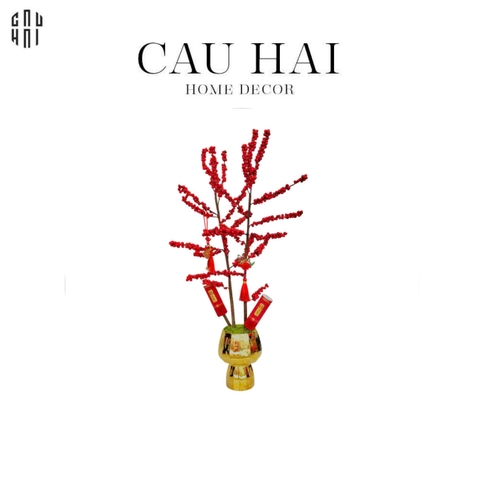 CHẬU ĐÀO ĐÔNG 2025 - SONG PHÚC CÁT TƯỜNG