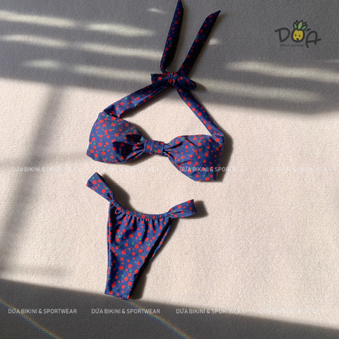Đồ Bơi Nữ Hai Mảnh Ngọt Ngào - CHERI BIKINI BKT046  | DỨA BIKINI &SPORTWEAR