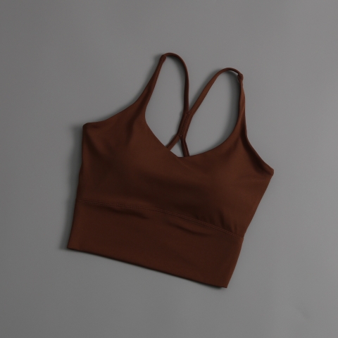 Áo Tập Thể Thao, Áo Bra Tập Gym, Yoga Mút Đúc Cố Định 6042