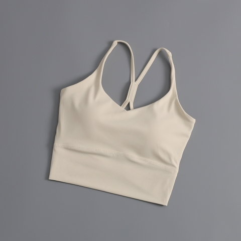 Áo Tập Thể Thao, Áo Bra Tập Gym, Yoga Mút Đúc Cố Định 6042