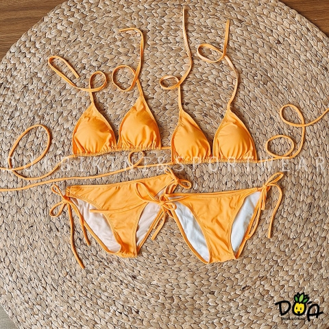 Bikini basic nhiều màu