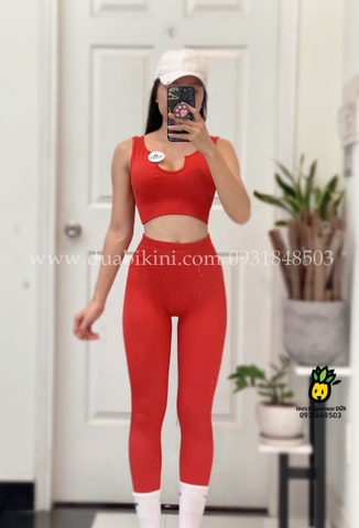 Bộ đồ tập dài thể thao nữ tôn dáng | DỨA BIKINI & SPORTWEAR