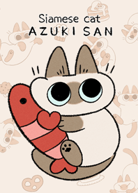 BẾ MÈO BÔNG AZUKI-SAN VỀ THÔI!!!