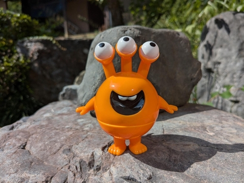 Orange Hosuky