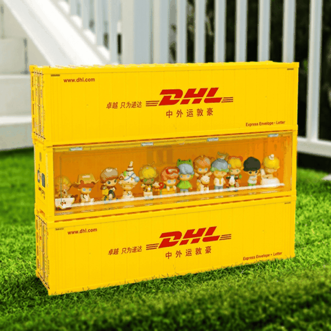 Container Display Case XG013