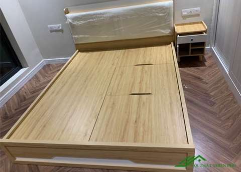 Giường Ngủ Hiện Đại Đa Năng - GN 04