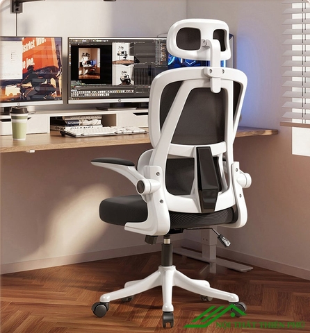 Ghế công thái học lưng kép - GH 05