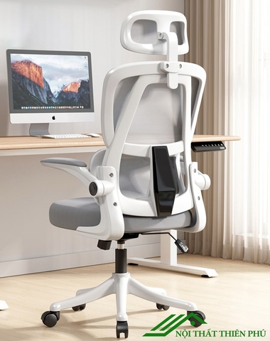 Ghế công thái học lưng kép - GH 05