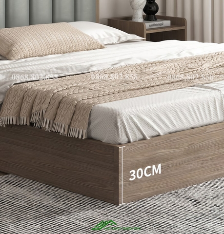 Giường ngủ hiện đại gỗ công nghiệp - GN 84