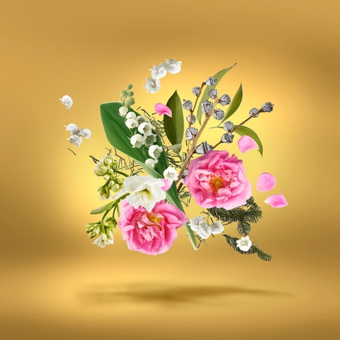 XERJOFF ACCENTO OVERDOSE