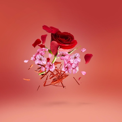 XERJOFF AMBER GOLD & ROSE GOLD