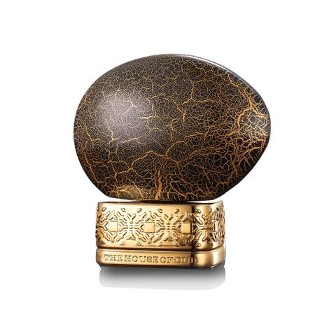 ThoO - Blessing Silence