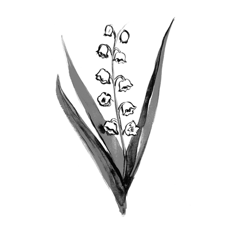 Frederic Malle Candle - 1Er Mai 220g