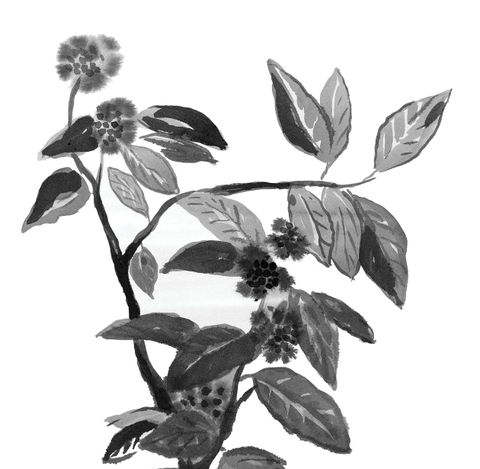 Frederic Malle Candle - Bois De Santal 220g