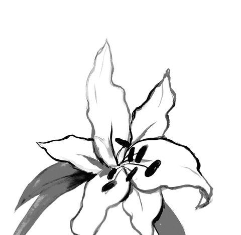 Frederic Malle Candle - Casablanca Lily 220g