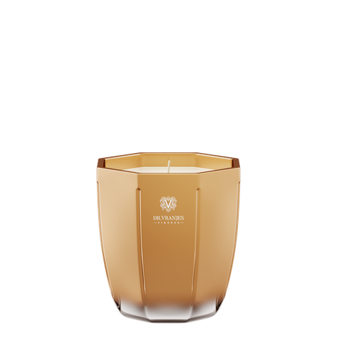 Dr. Vranjes Candle Rosso Nobile - Gold Vase