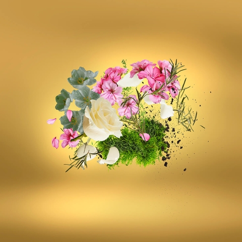 CASAMORATI CASA FUTURA