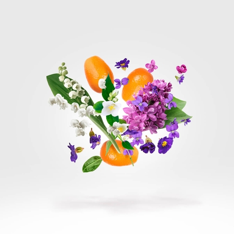 CASAMORATI DAMA BIANCA