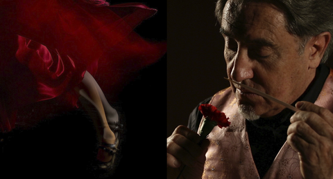 RAMON MONEGAL FLAMENCO