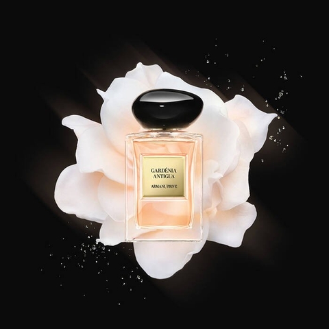 Giorgio Armani Privé Gardénia Antigua