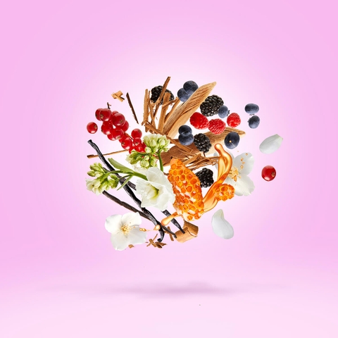 CASAMORATI GRAN BALLO