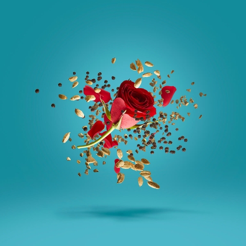 XERJOFF GROOVE XCAPE