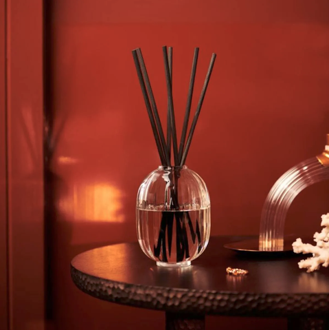 Diptyque Home Fragrance Diffuser - Baies