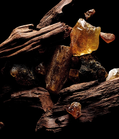 Kilian Sacred Wood - Icon Set