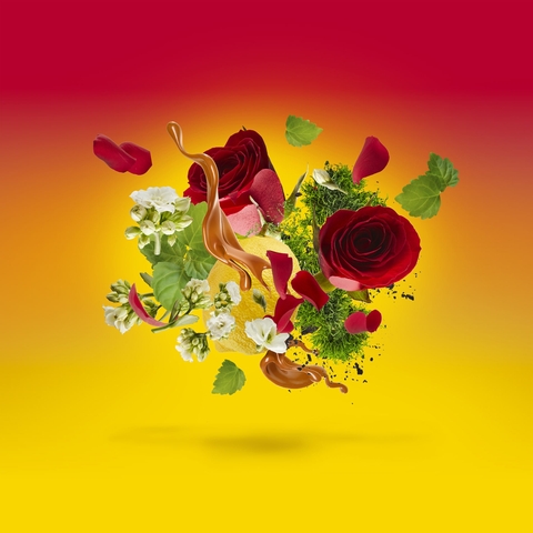 CASAMORATI LEVAR DEL SOLE