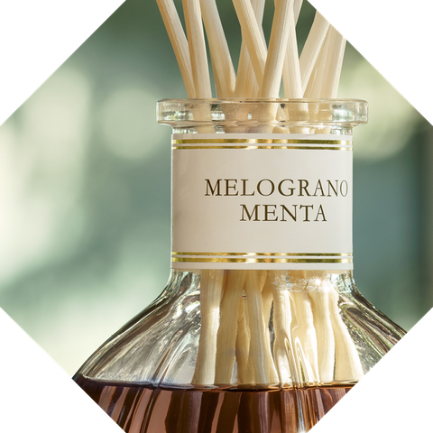 Dr. Vranjes Diffuser Melograno Menta