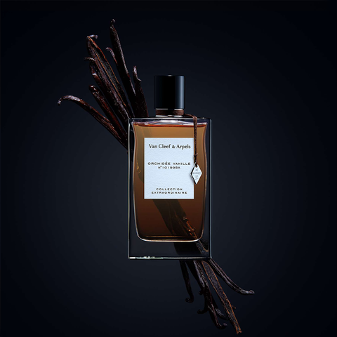 Van Cleef Arpels Orchidee Vanille