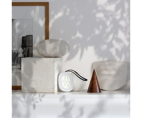 Diptyque Oval Figuier