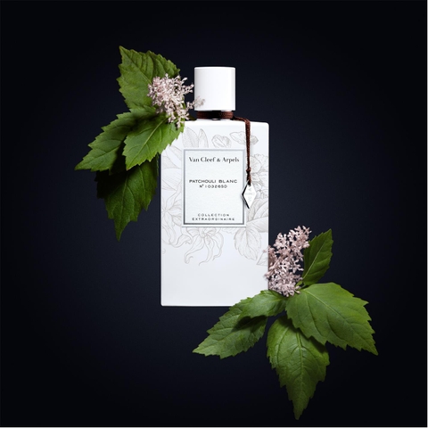 Van Cleef Arpels Patchouli Blanc